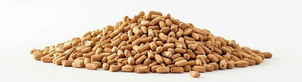 Pellet di biomasse per rappresentare le Soluzioni Metaltek per gli Impianti Termovalorizzazione Biomasse
